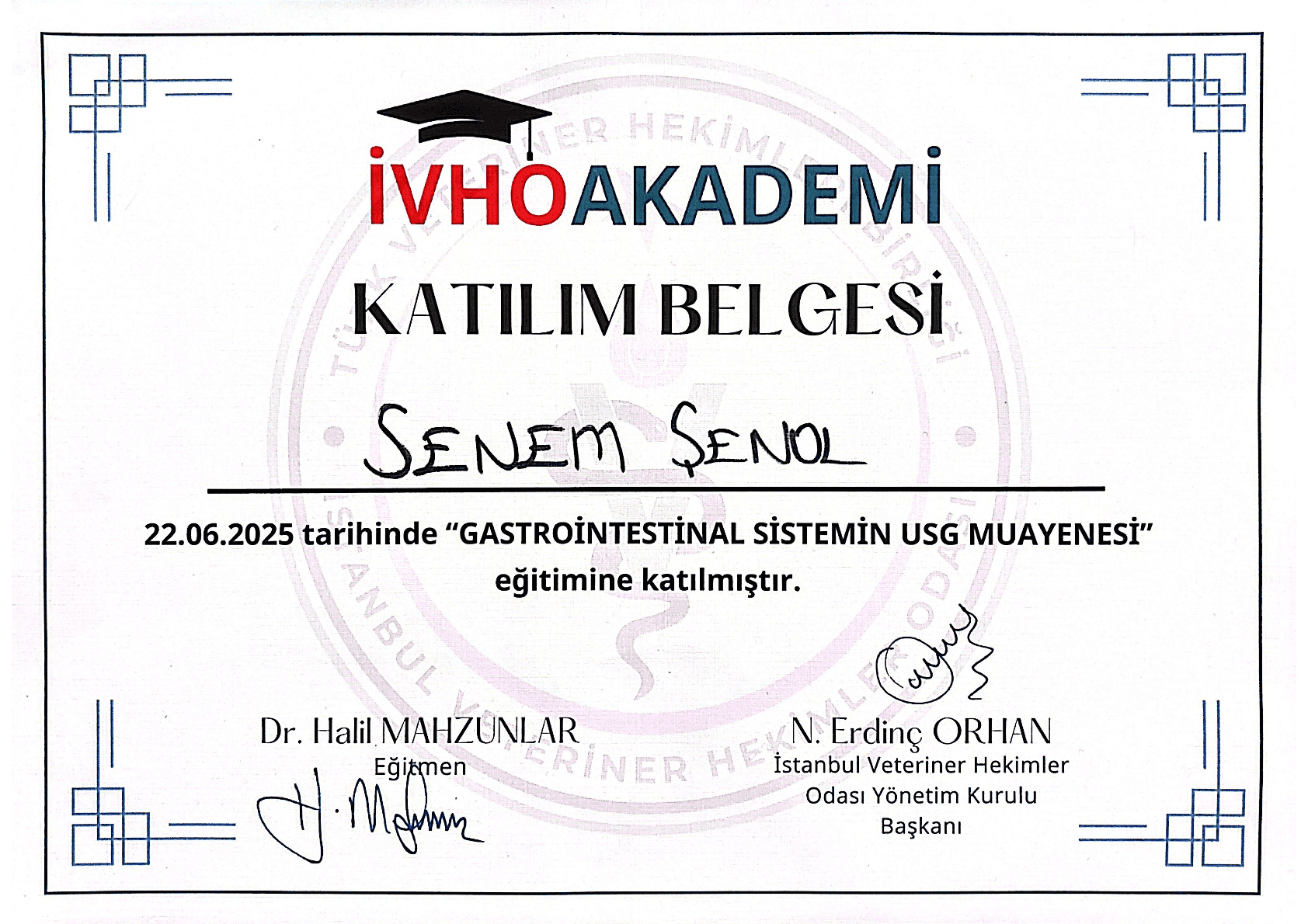 Senem Şenol - Sertifika 29