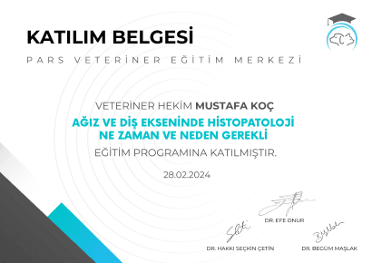 Mustafa Koç - Sertifika 6