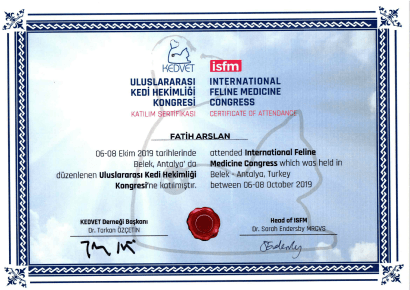 Fatih Arslan - Sertifika 15
