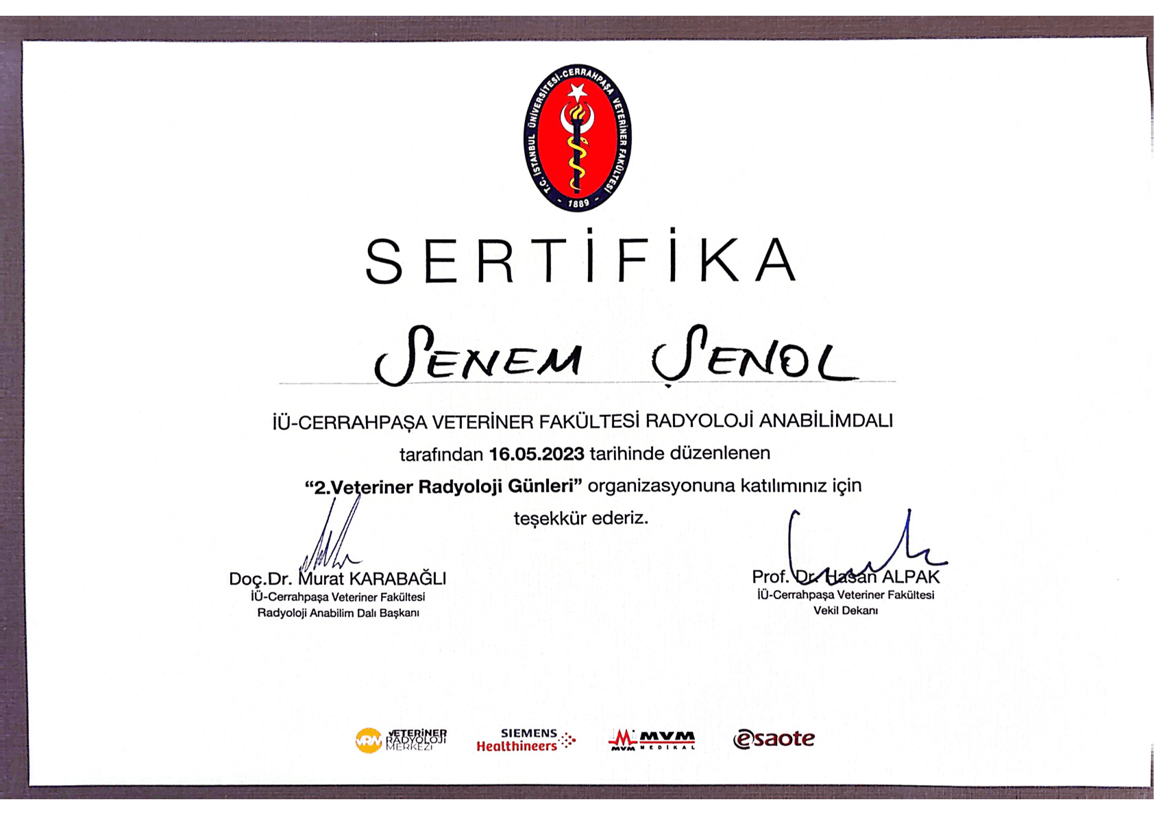 Senem Şenol - Sertifika 8