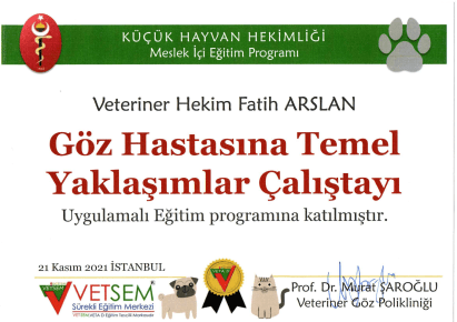 Fatih Arslan - Sertifika 9