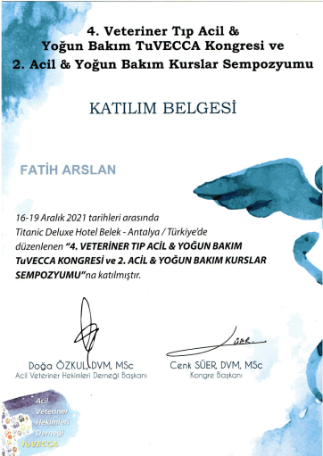 Fatih Arslan - Sertifika 25