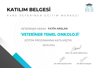 Fatih Arslan - Sertifika 4