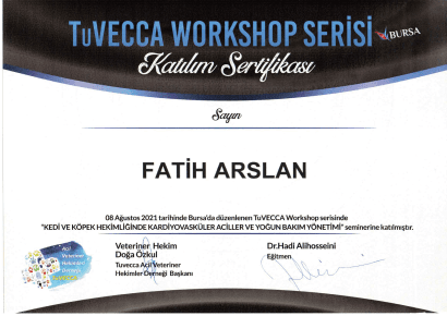 Fatih Arslan - Sertifika 10