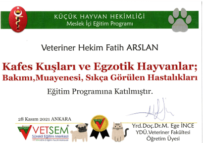 Fatih Arslan - Sertifika 28
