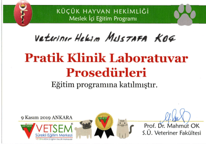 Mustafa Koç - Sertifika 16