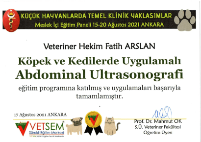 Fatih Arslan - Sertifika 6