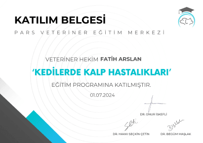 Fatih Arslan - Sertifika 30