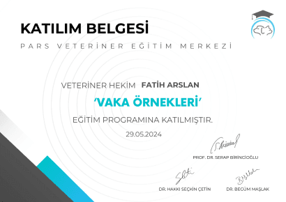 Fatih Arslan - Sertifika 5