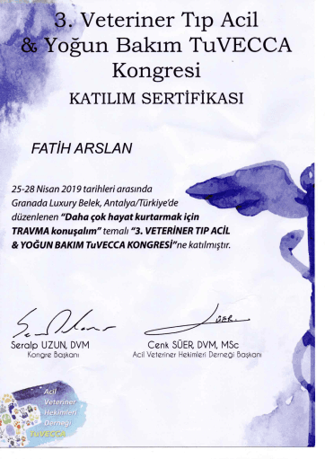 Fatih Arslan - Sertifika 24