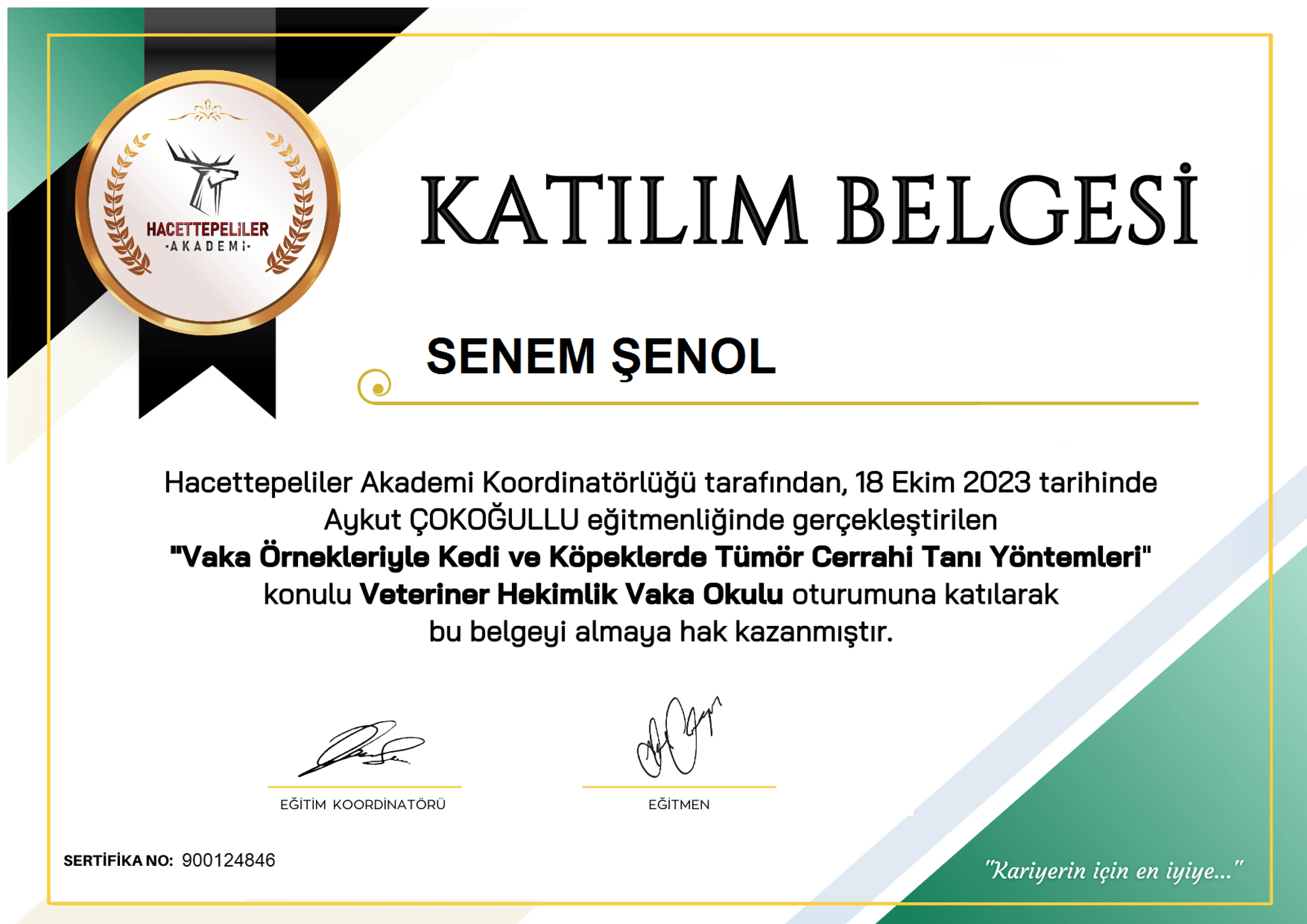 Senem Şenol - Sertifika 16