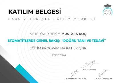Mustafa Koç - Sertifika 5