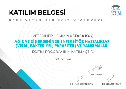 Mustafa Koç - Sertifika 7
