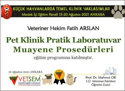 Fatih Arslan - Sertifika 20