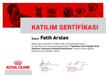 Fatih Arslan - Sertifika 23