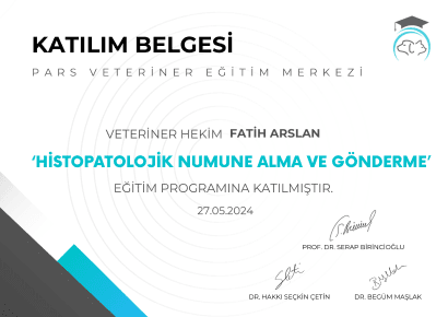Fatih Arslan - Sertifika 3
