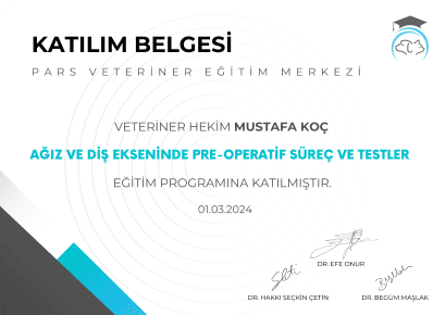 Mustafa Koç - Sertifika 3