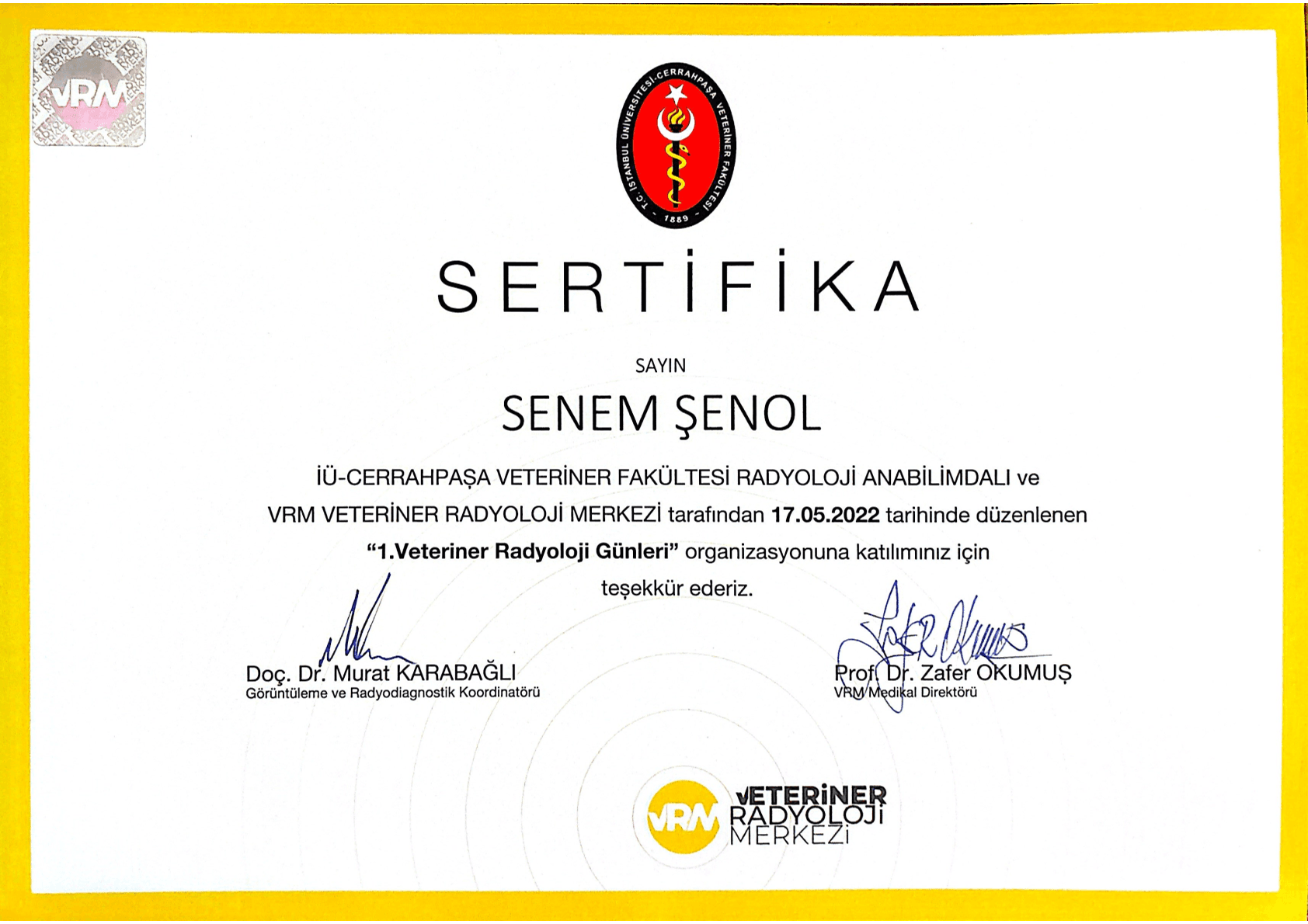 Senem Şenol - Sertifika 7