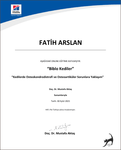 Fatih Arslan - Sertifika 7