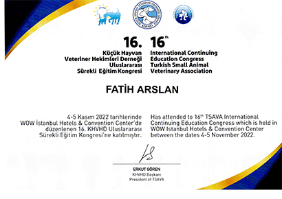Fatih Arslan - Sertifika 29