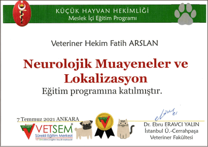 Fatih Arslan - Sertifika 19