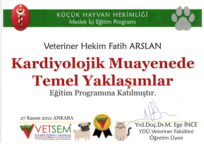 Fatih Arslan - Sertifika 27