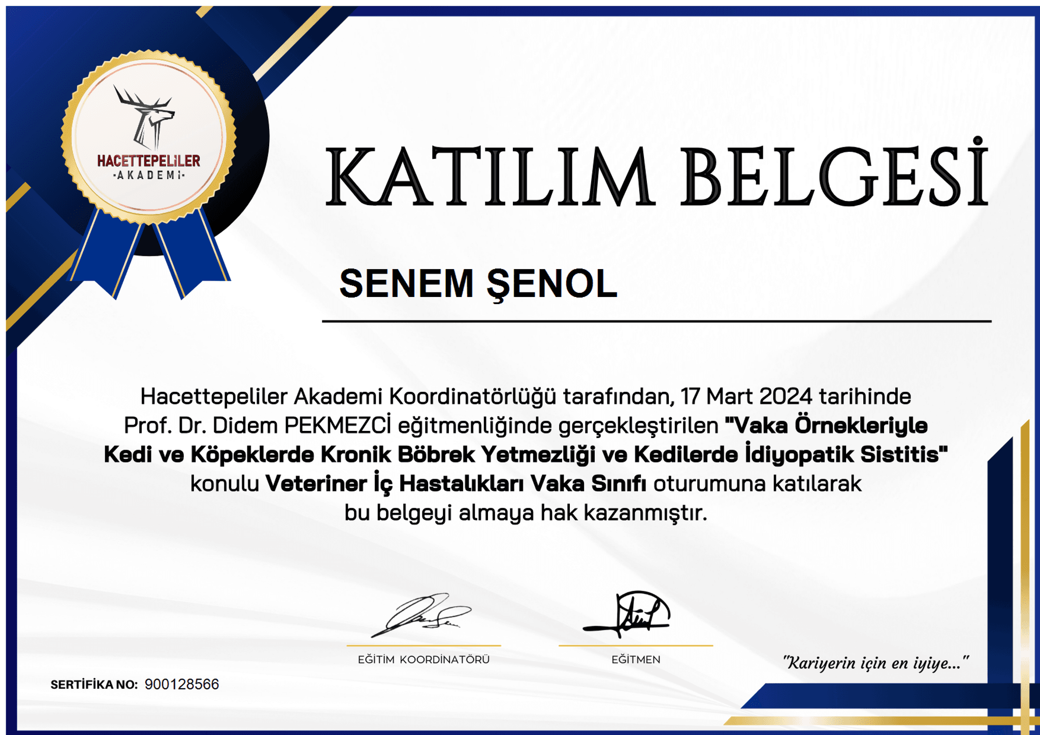 Senem Şenol - Sertifika 27