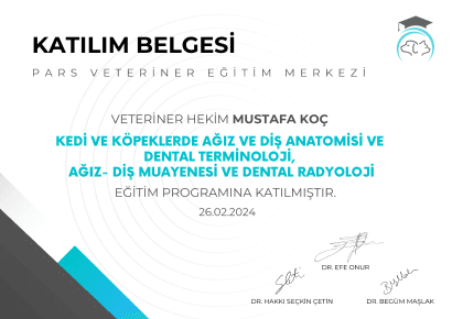 Mustafa Koç - Sertifika 4