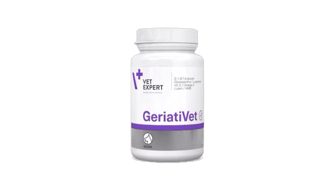 GeriatiVet Dog