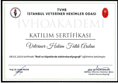 Fatih Arslan - Sertifika 14