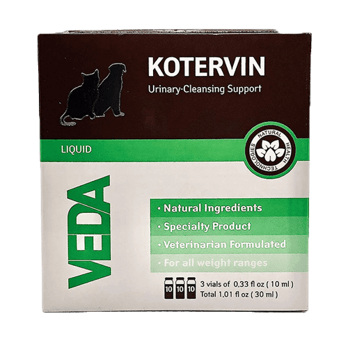Kotervin
